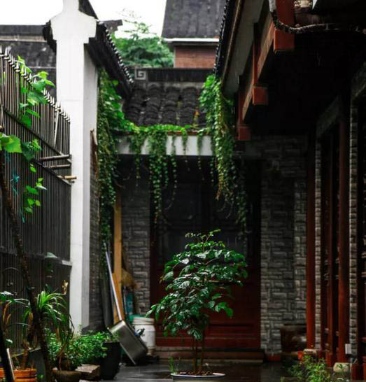 梅雨季節(jié)，養(yǎng)花怎么做？