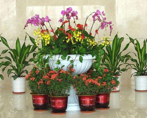 重慶綠植租擺公司哪家好，綠植對(duì)緩解眼睛視力疲勞有哪些好處