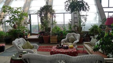 掌握這些知識(shí)，養(yǎng)好水培植物就這么簡單