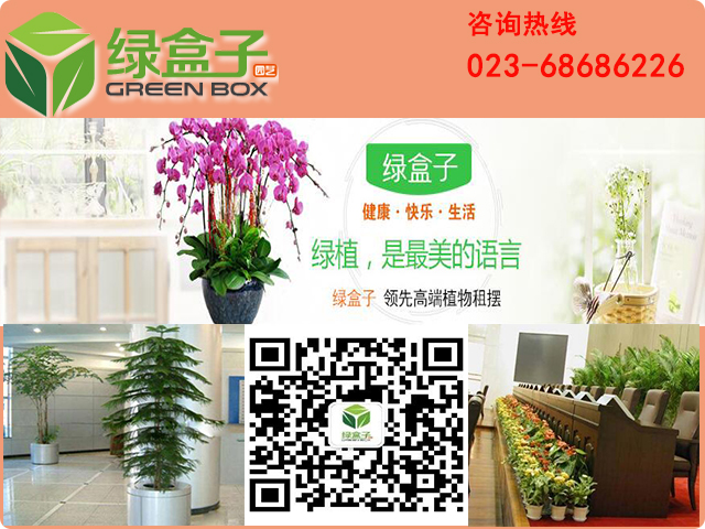 重慶植物租賃,養(yǎng)盆栽需要注意事項(xiàng)